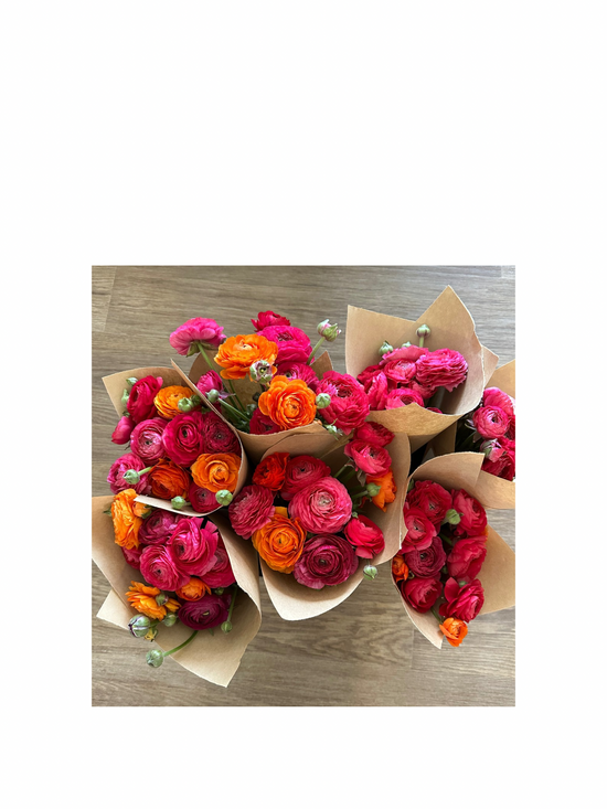 Coral Salmon Ranunculus