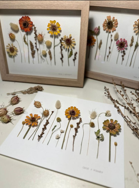 Dried Flower Frames