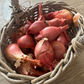 Red Shallots